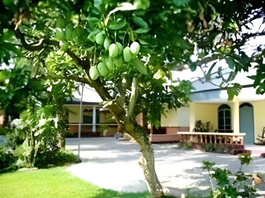 Hotel Indra Djaya Cisarua Εξωτερικό φωτογραφία